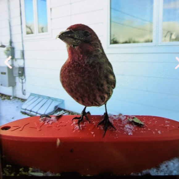 Jewelry Show Listing (read for bundle/ship updates) - Picture 3 of 5